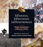 IiDanaso, IiDayimani neDemokhrasi (eBook, ePUB)