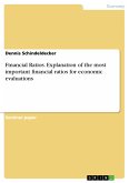 Financial Ratios. Explanation of the most important financial ratios for economic evaluations (eBook, PDF)