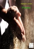 Polvere (eBook, PDF)