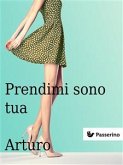 Prendimi sono tua (eBook, ePUB)