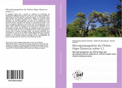 Micropropagation du Chêne-liège (Quercus suber L.) - El Bouzdoudi, Brahim;Lamarti, Ahmed