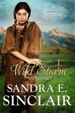 Wild Storm (The Unbridled Series, #2) (eBook, ePUB)