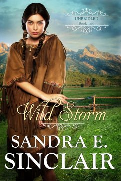 Wild Storm (The Unbridled Series, #2) (eBook, ePUB) - Sinclair, Sandra E