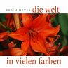 Die Welt in vielen Farben - Bild 1