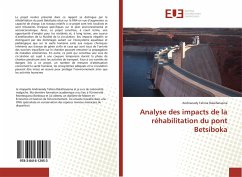Cover Analyse des impacts de la réhabilitation du pont Betsiboka