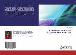 A Guide to Secure and Efficient IPv6 Transition