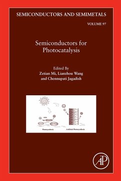 Cover Semiconductors for Photocatalysis (eBook, ePUB)
