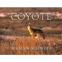 Coyote - Meinzer, Wyman