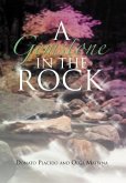 A Gemstone in the Rock