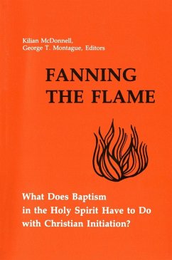 Fanning the Flame (eBook, ePUB) - Heart of the Church Consultation