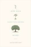 How Does Sanctification Work? (eBook, ePUB)