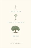 How Does Sanctification Work? (eBook, ePUB)