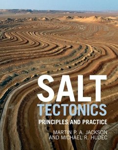 Salt Tectonics (eBook, ePUB) - Jackson, Martin P. A.
