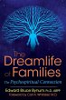 The Dreamlife of Families (eBook, ePUB) - Bild 1