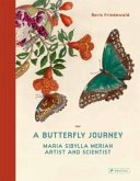 Butterfly Journey