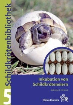 Inkubation von Schildkröteneiern - Hennig, Andreas S.