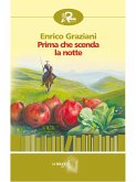 Prima che scenda la notte (eBook, ePUB)