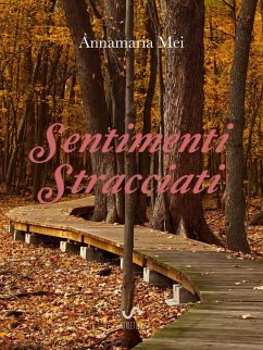 Cover Sentimenti stracciati (eBook, PDF)