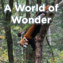 A World of Wonder - Ford, Brent A.; Hazlehurst, Lucy McCullough