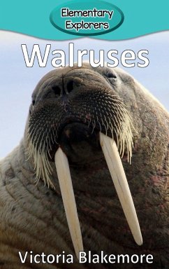 Walruses - Blakemore, Victoria