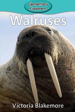 Walruses - Blakemore, Victoria