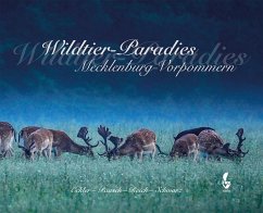 Wildtier-Paradies Mecklenburg-Vorpommern - Schwarz, Ulf-Peter