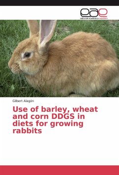 Use of barley, wheat and corn DDGS in diets for growing rabbits - Alagón, Gilbert