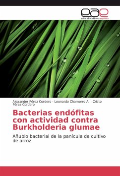 Bacterias endófitas con actividad contra Burkholderia glumae