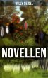 Willy Seidel: Novellen (eBook, ePUB) - Bild 1