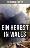 Ein Herbst in Wales (eBook, ePUB)