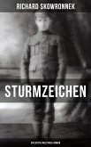 Sturmzeichen (Ein Erster-Weltkrieg-Roman) (eBook, ePUB)
