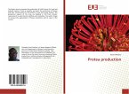 Protea production