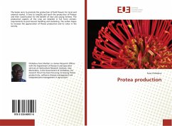 Cover Protea production