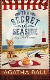 The Secret of Seaside (Paige Comber Mystery, #1) (eBook, ePUB)