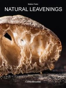 Natural Leavenings (eBook, ePUB) - Festorazzi, Matteo