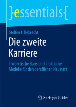 Die zweite Karriere - Hillebrecht, Steffen