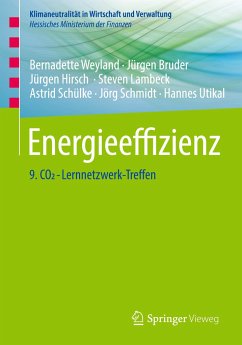 Energieeffizienz - Weyland, Bernadette;Bruder, Jürgen;Hirsch, Jürgen