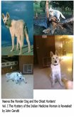 Neewa the Wonder Dog and the Ghost Hunters (eBook, ePUB)
