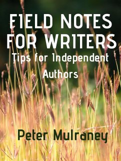 Cover Field Notes for Writers (eBook, ePUB)