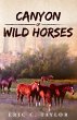 Canyon of Wild Horses - Bild 1