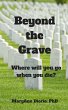 Beyond the Grave (eBook, ePUB) - Bild 1