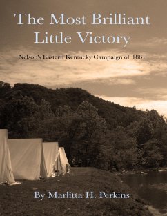 Cover The Most Brilliant Little Victory (eBook, ePUB)