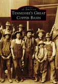 Tennessee's Great Copper Basin (eBook, ePUB)