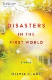 Disasters in the First World (eBook, ePUB) Disasters in the First World (eBook, ePUB)