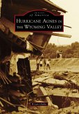 Hurricane Agnes in the Wyoming Valley (eBook, ePUB)