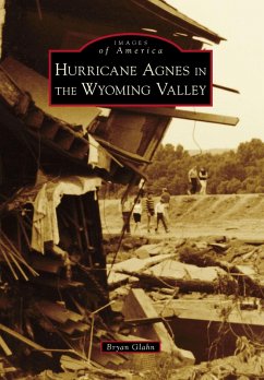 Hurricane Agnes in the Wyoming Valley (eBook, ePUB) - Glahn, Bryan