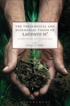 Cover The Theological and Ecological Vision of Laudato Si' (eBook, ePUB)
