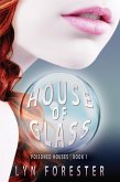 House of Glass (eBook, ePUB)