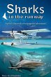 Sharks in the Runway (eBook, ePUB) - Bild 1