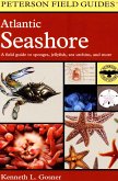 Atlantic Seashore (eBook, ePUB)